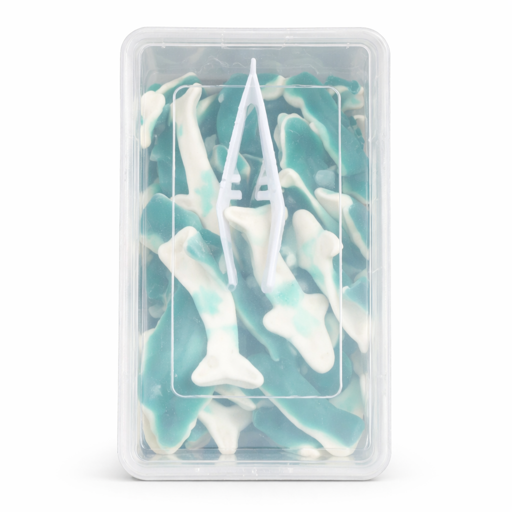 סוכריות גומי בטעמים - 1 קילו